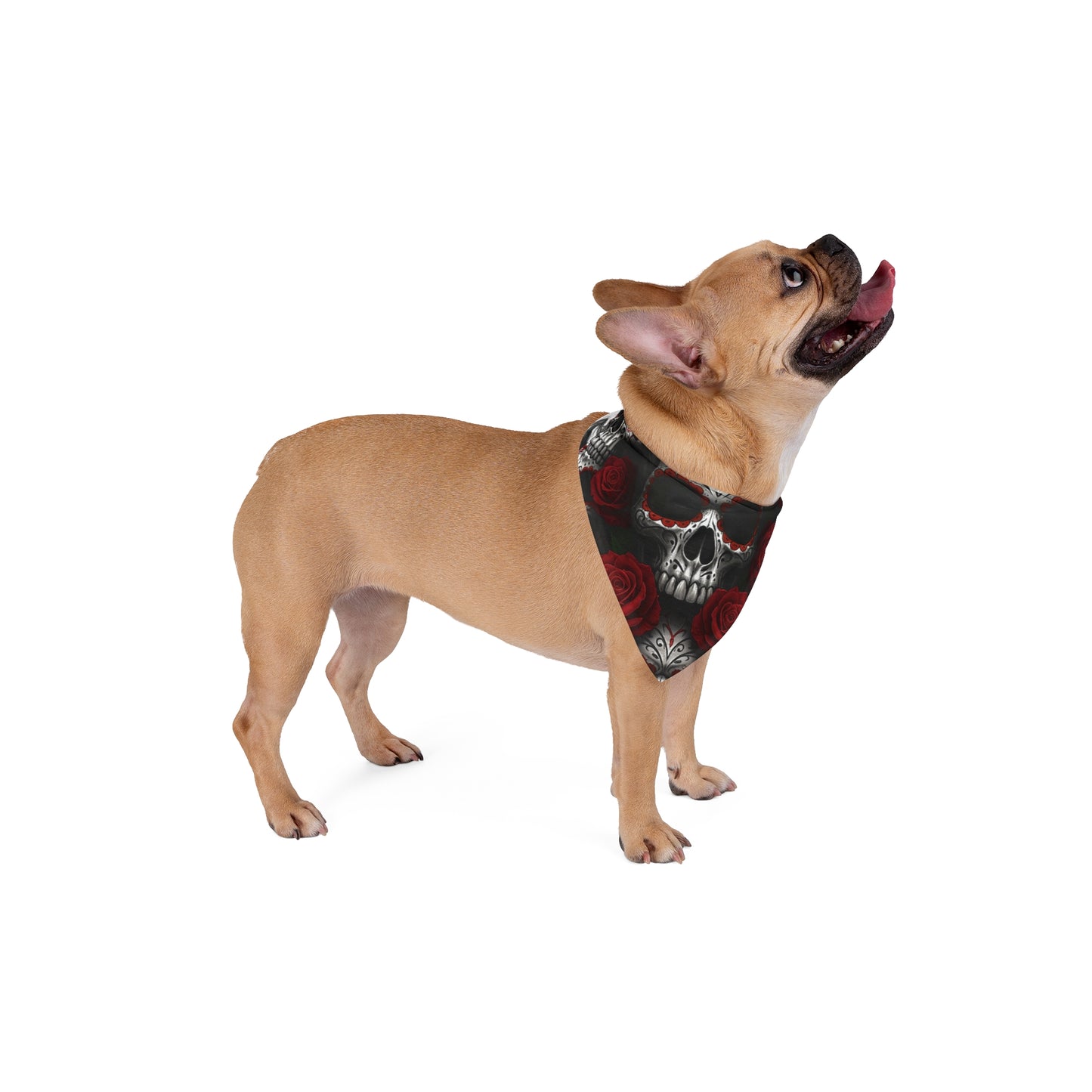 LaCatrina Edge: Bold Bandana for Daring Pets #40
