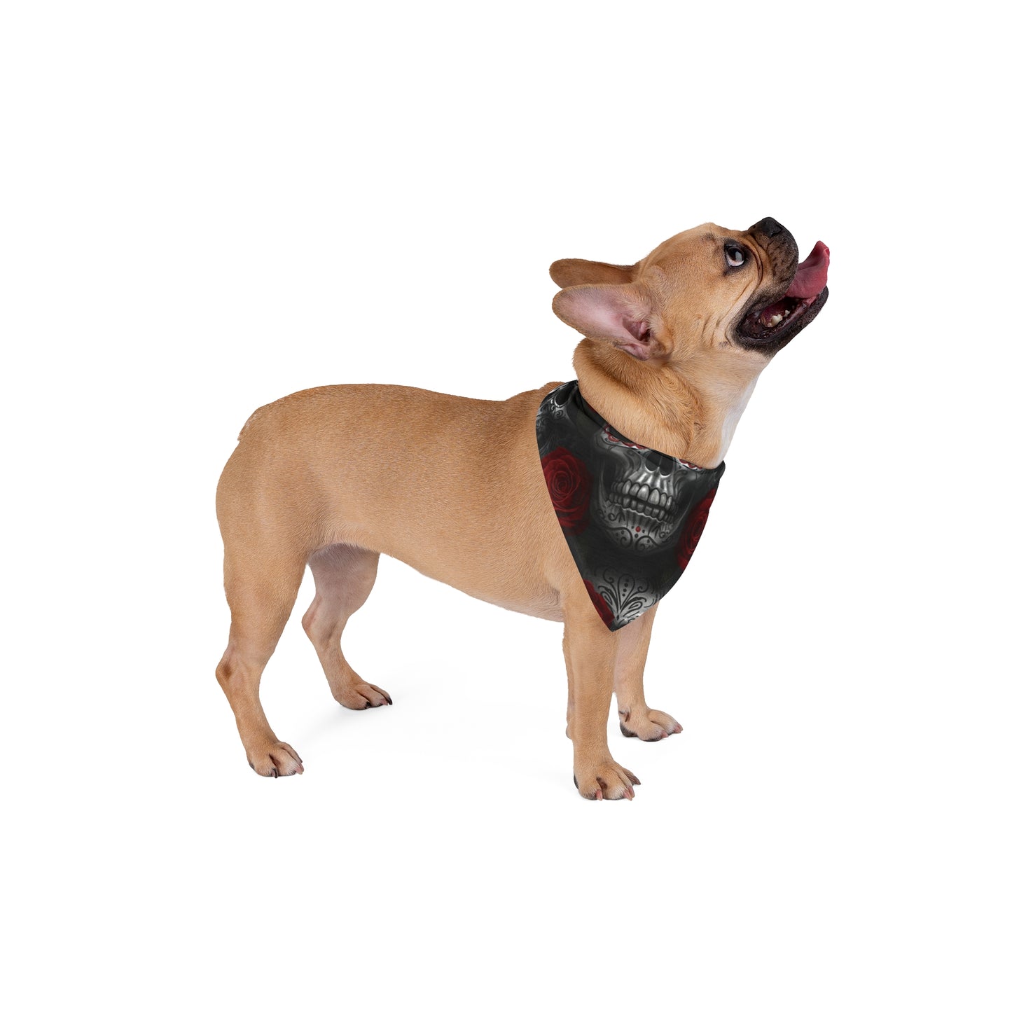 LaCatrina Edge: Daredevil Pet Bandana #17