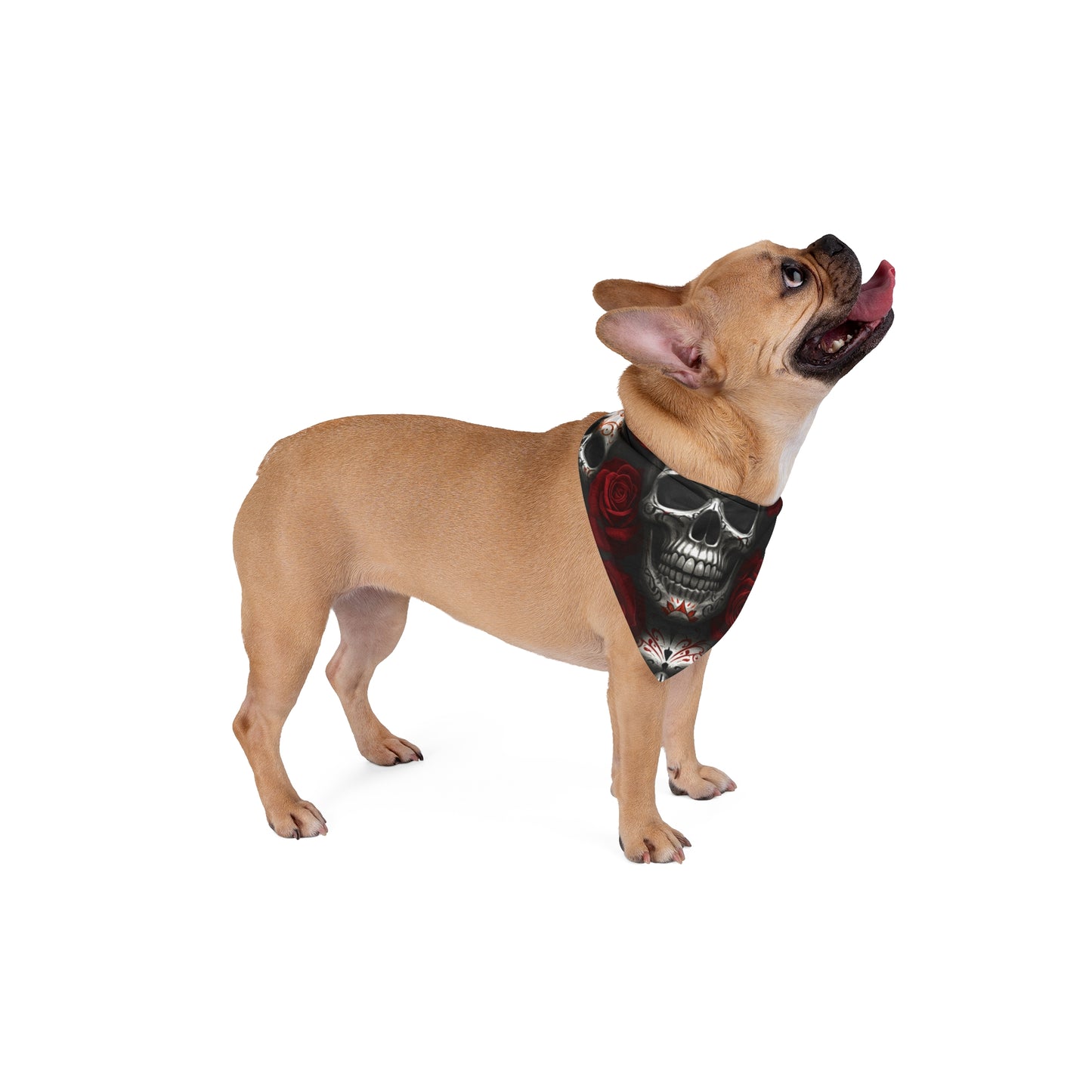 LaCatrina Edge: Fierce Pet Bandana #36
