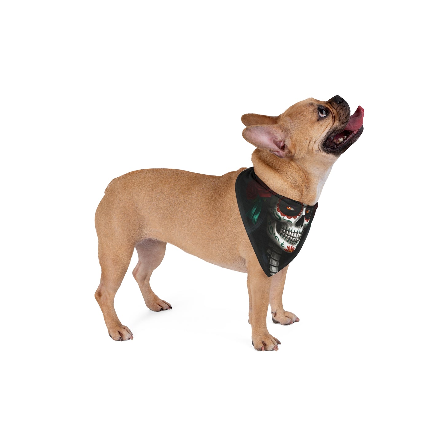 LaCatrina Edge: Daring Pet Bandana #4