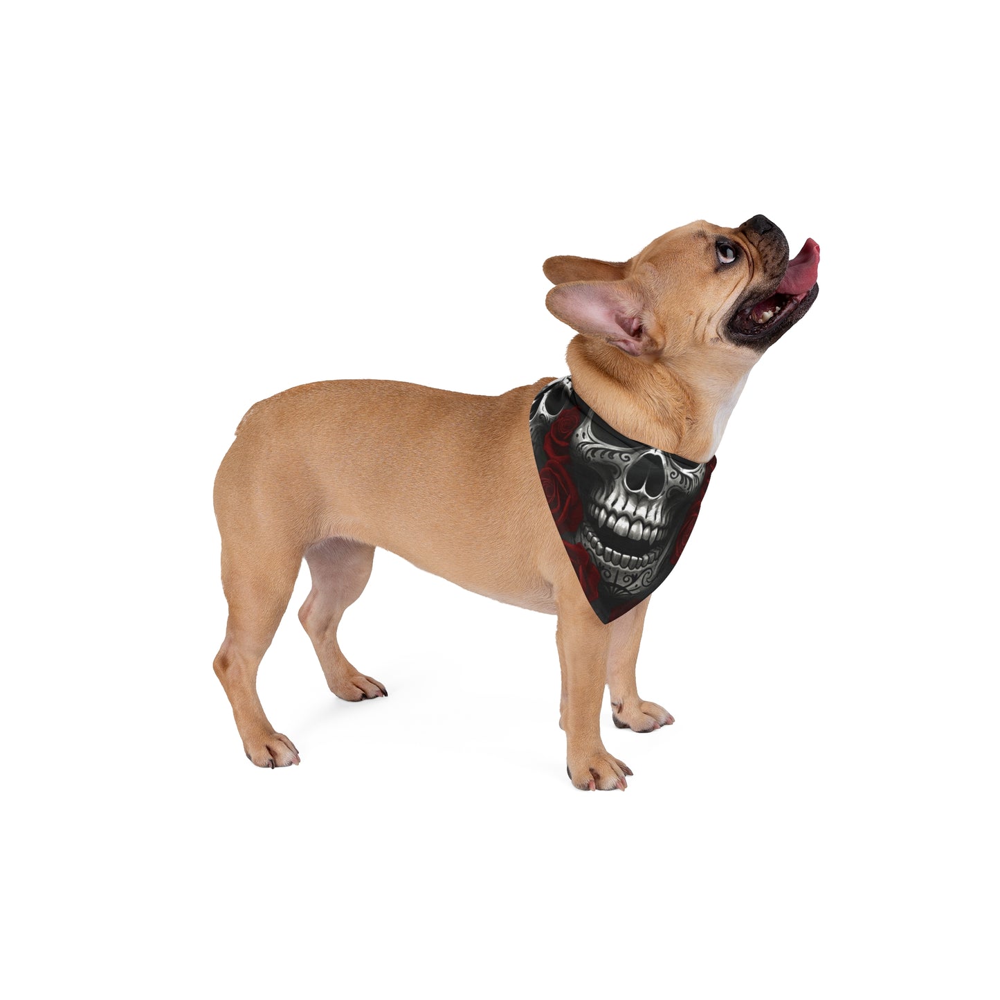 LaCatrina Edge: Bold Bandana for Trendsetting Pets #21