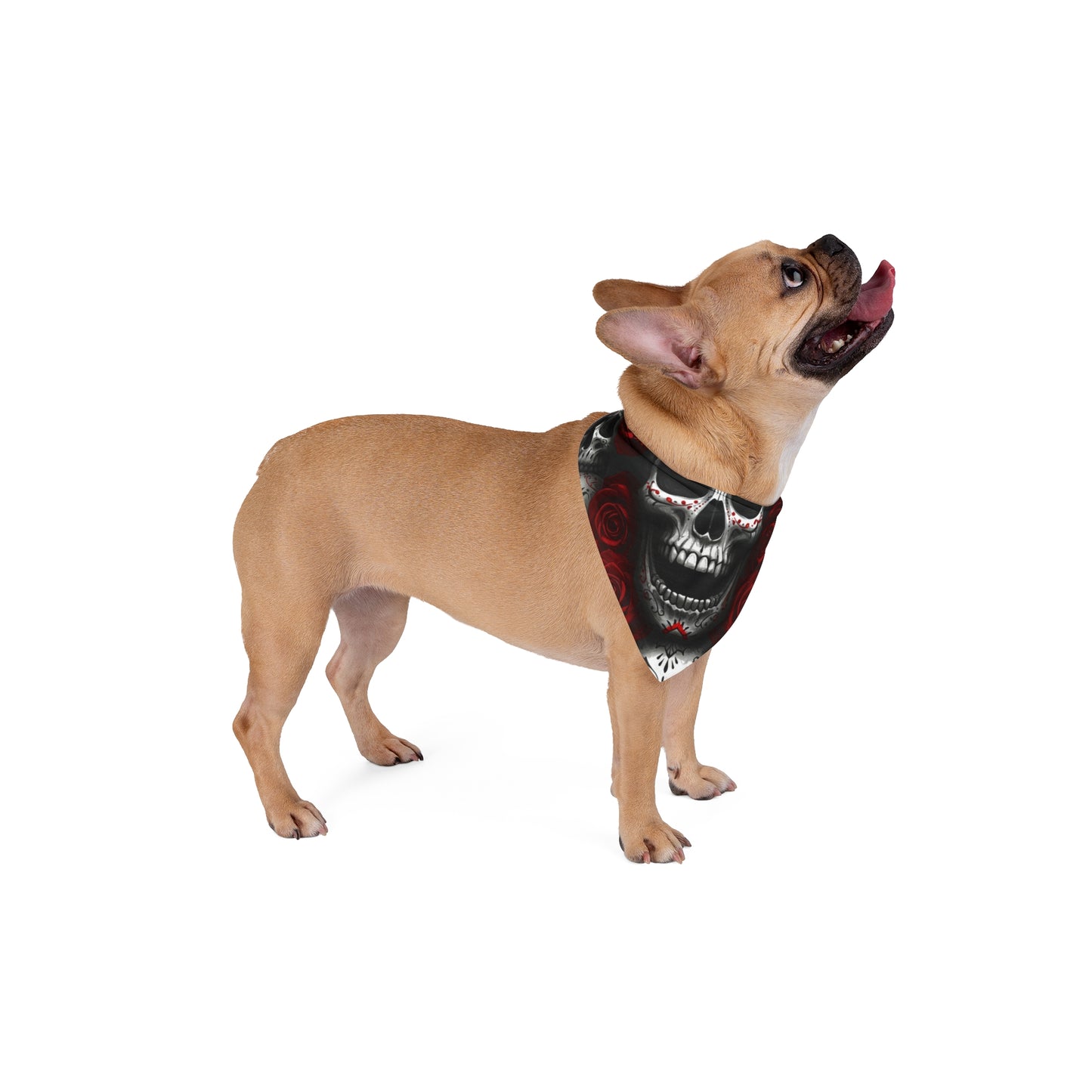 LaCatrina Edge: Chic & Bold Pet Bandana #27