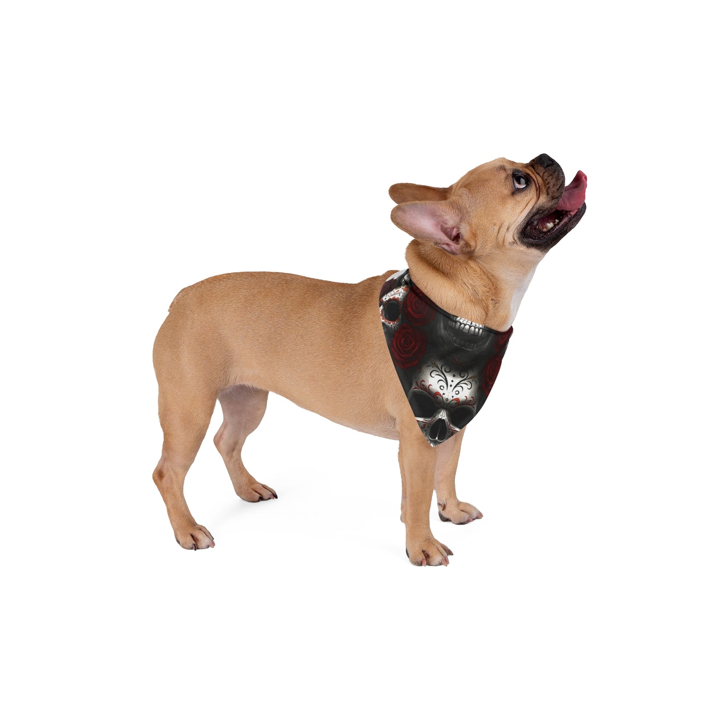 LaCatrina Edge: Chic Skull Pet Bandana #39