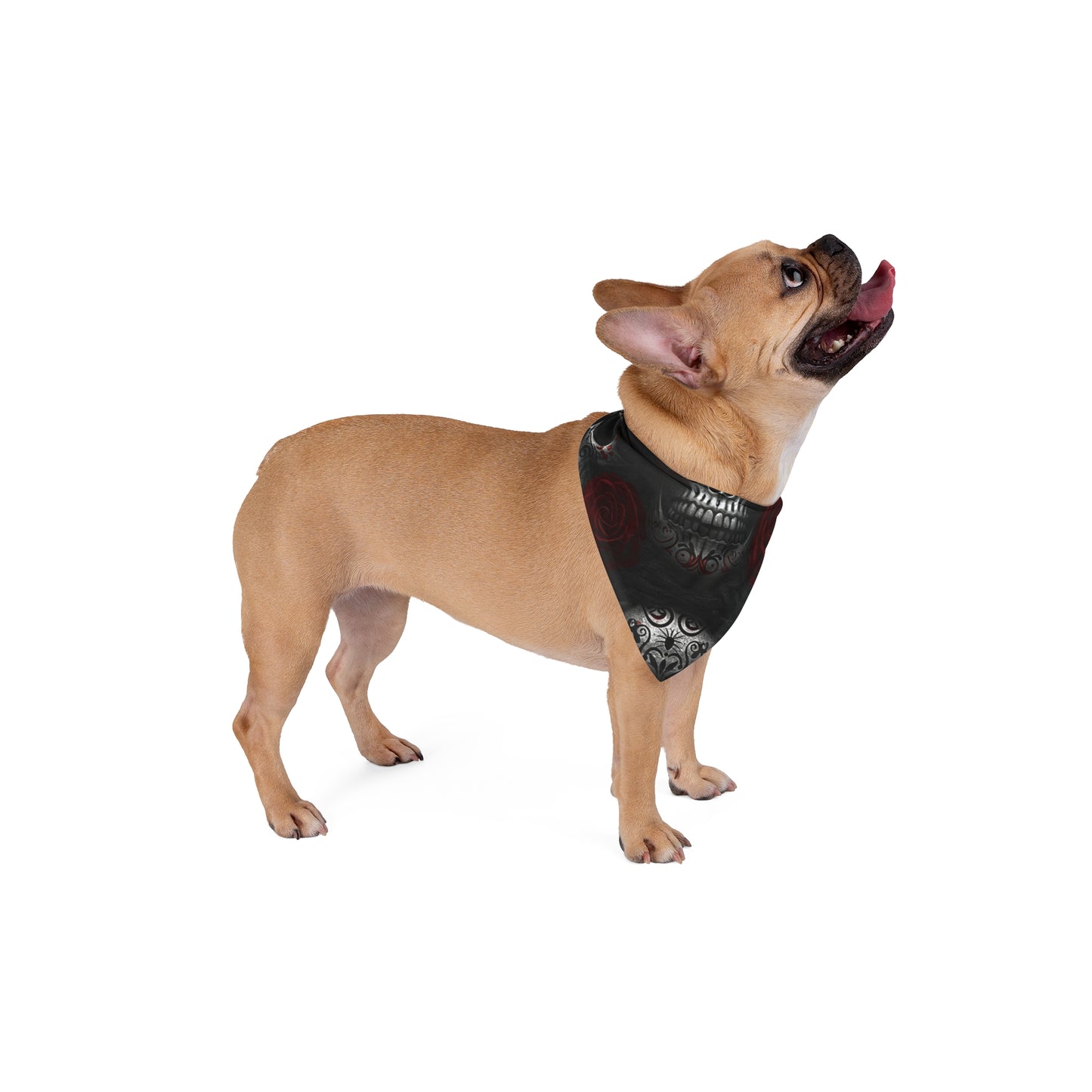 LaCatrina Edge: Chic & Bold Pet Bandana #20