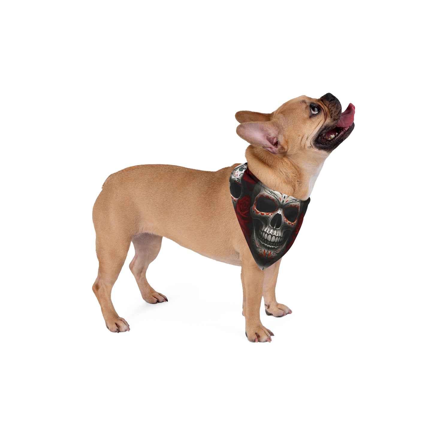 LaCatrina Edge: Chic Skull Pet Bandana #34