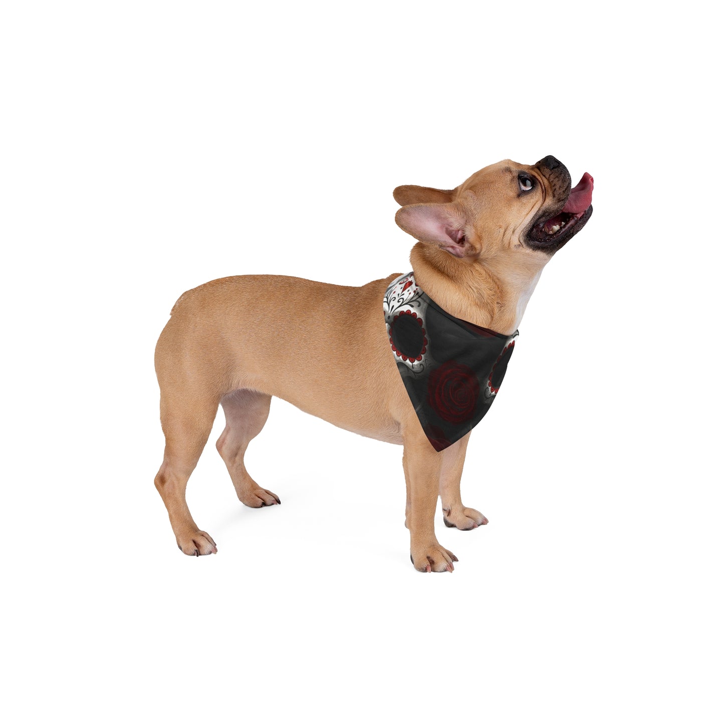 LaCatrina Edge: Chic Skull Pet Bandana #11