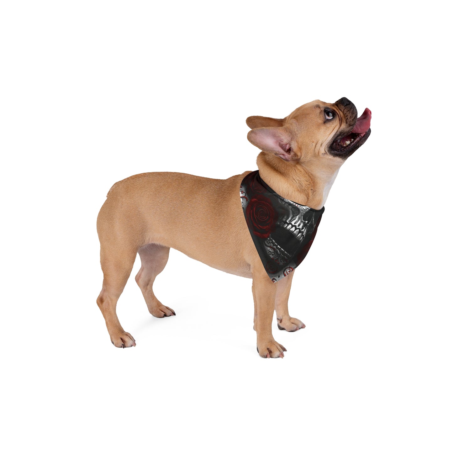 LaCatrina Edgy Chic Pet Bandana - Daring Style #26