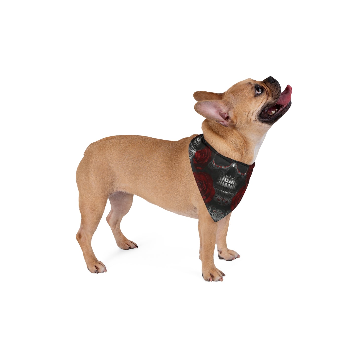 LaCatrina Edge: Chic & Bold Pet Bandana