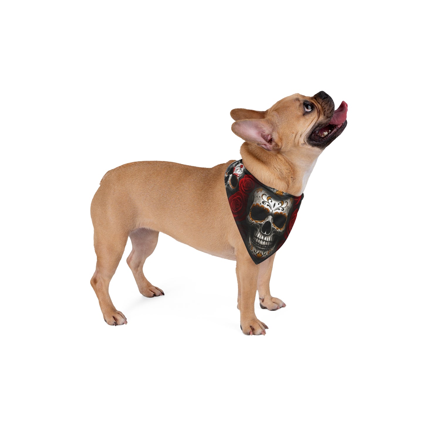 LaCatrina Edge: Chic Skull Pet Bandana #42