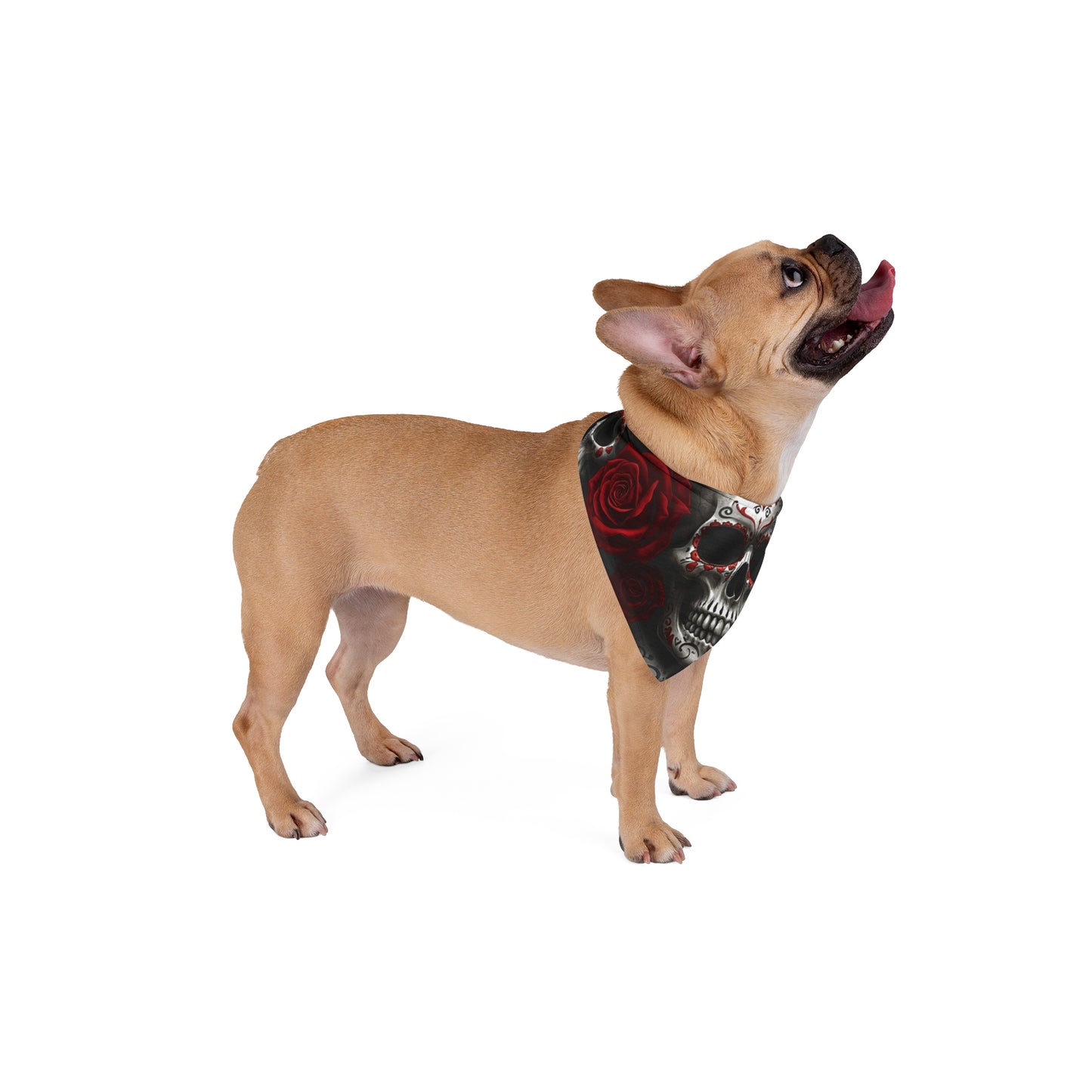 LaCatrina Edge: Chic Pet Bandana #22