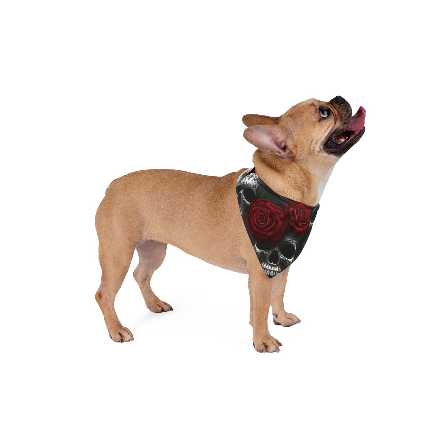 LaCatrina Edge: Bold Pet Bandana #23