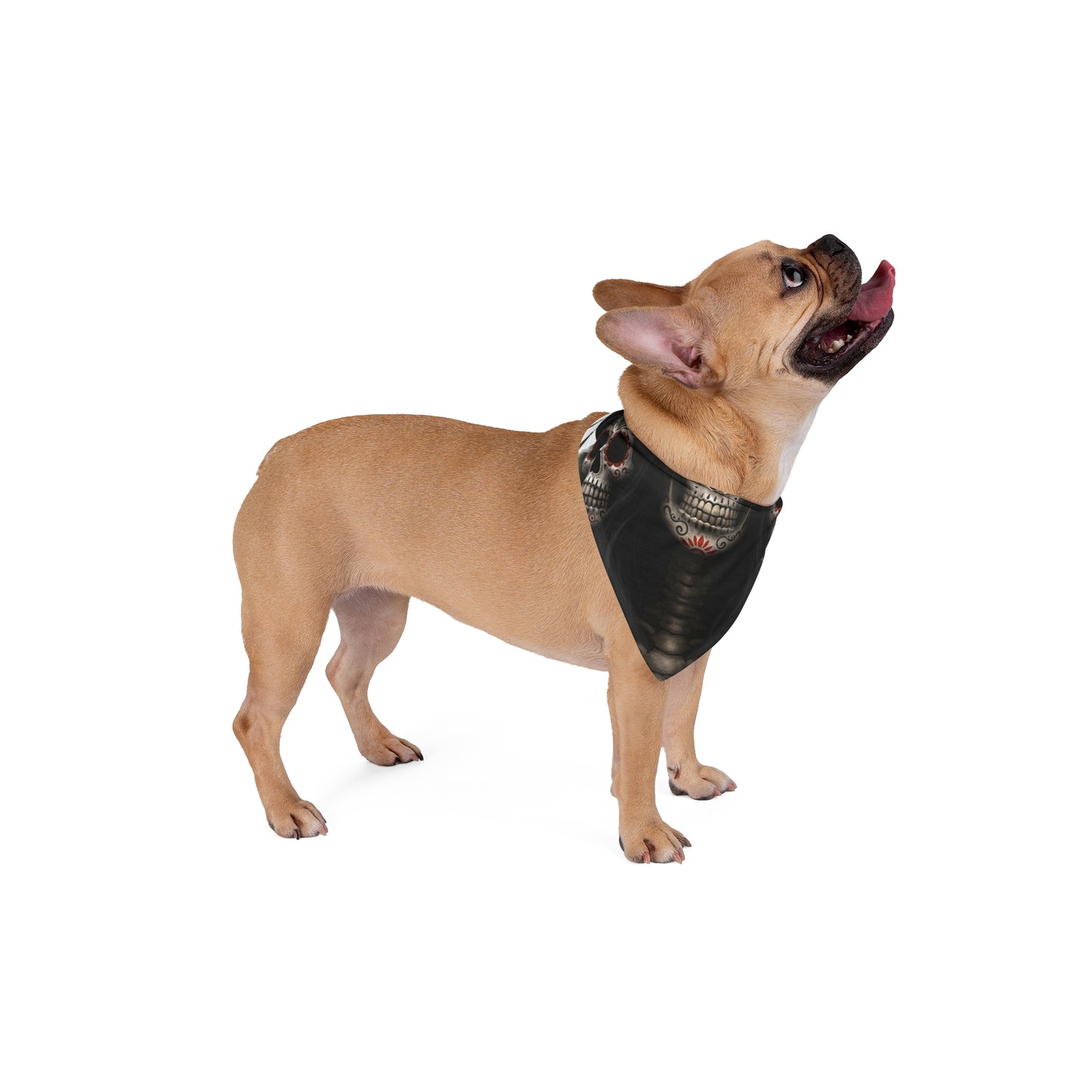LaCatrina Edge: Fierce Style Pet Bandana #3