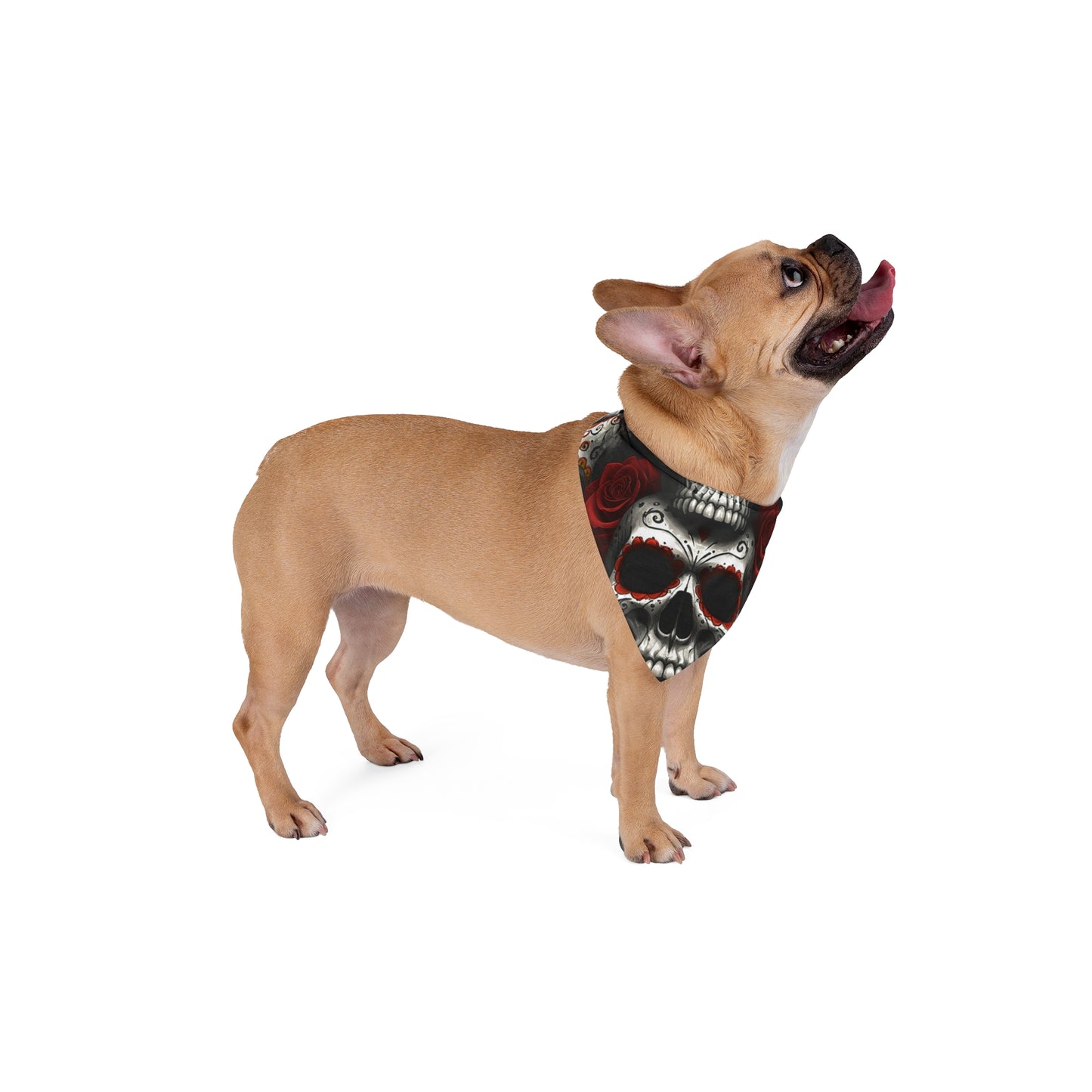 LaCatrina Edge: Bold & Daring Pet Bandana #38