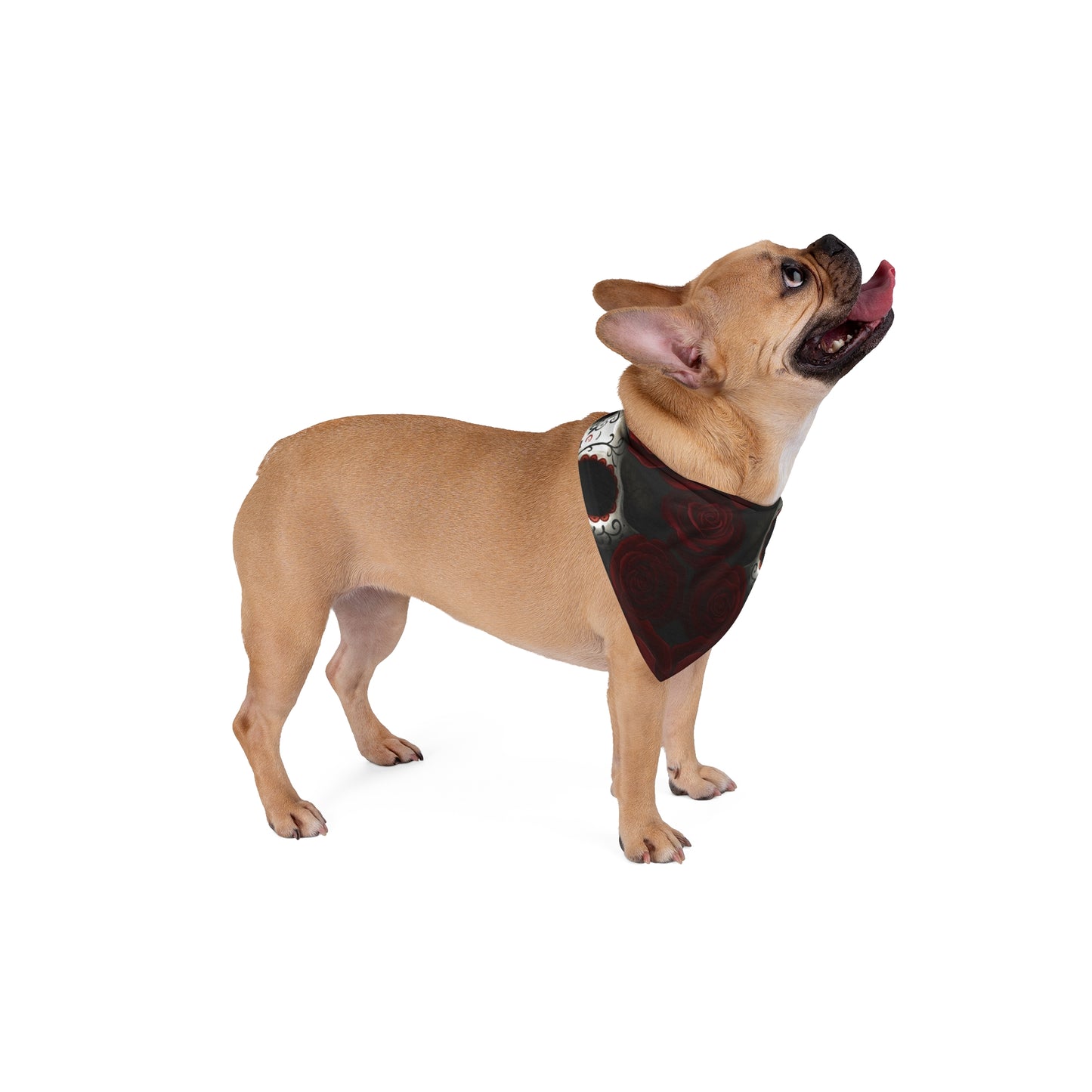 LaCatrina Edge: Bold & Mysterious Pet Bandana #12