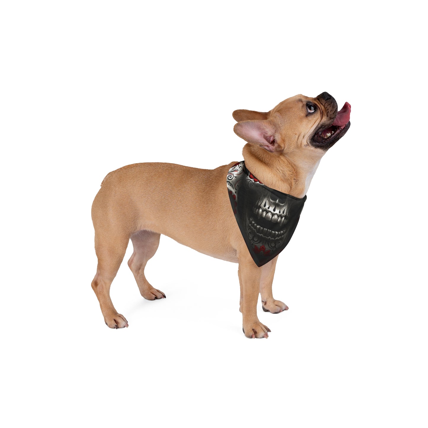 LaCatrina Edge: Chic & Bold Pet Bandana #29
