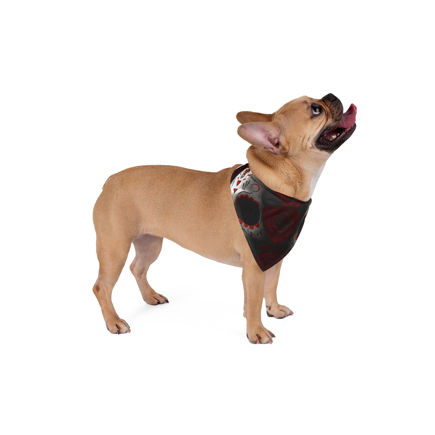 LaCatrina Edge: Pet Bandana - Daring Style #16